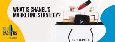 cours stratégie marketing chanel|chanel marketing strategies.